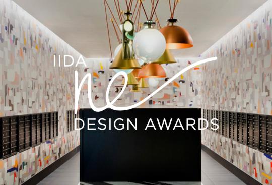 Park 151 Wins an IIDA NE Design Award!
