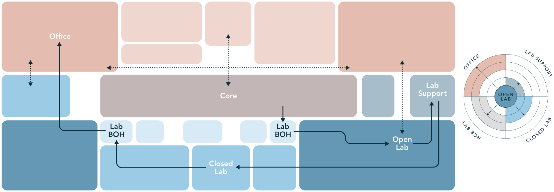 Develop options that spatialize program requirements, areas, adjacencies and circulation onto proposed floorplate 